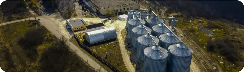 Carbon Oil-Absorbing Biosorbent of Destructive Type 